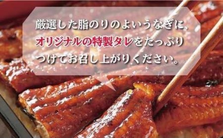 鰻 蒲焼 4尾 沼津 うなぎ 鰻
