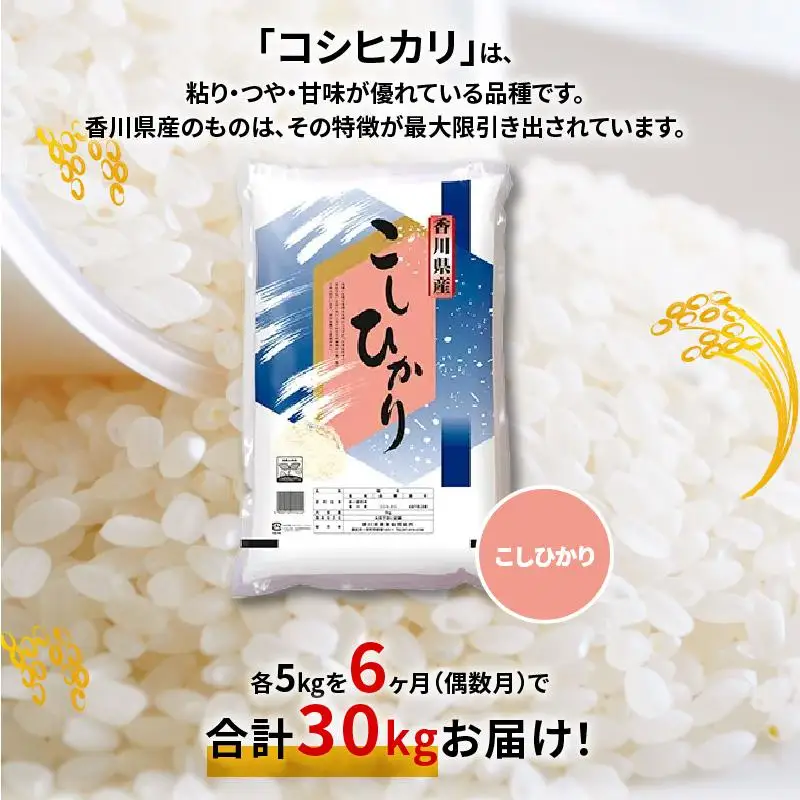 【6ヶ月定期便】計約30kg 偶数月 おいしいコシヒカリ約5kg