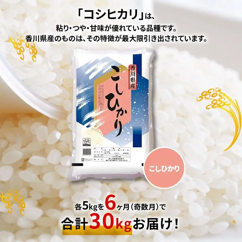 【6ヶ月定期便】計約30kg 奇数月 おいしいコシヒカリ約5kg