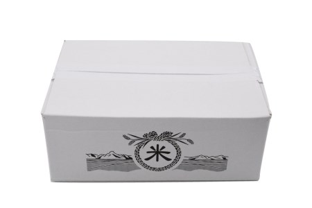 米 元気つくし 5kg 白米 精米 お米/ 松尾米穀店 / 福岡県 筑紫野市