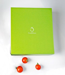 【2026年発送】【中富良野町】厳選ミニトマトほれまるBOX【BF-007】