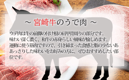 宮崎牛焼肉（うで肉）約750g　TF0569-P00012