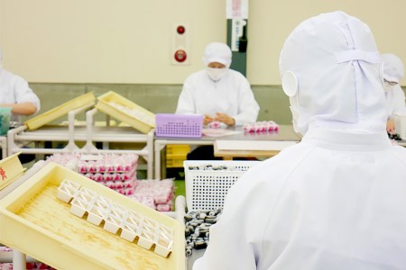 金精軒 信玄餅 お包み体験 2名様 お土産付き チケット [金精軒製菓 山梨県 韮崎市 20740963] 