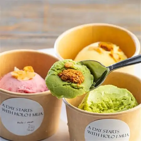 ヴィーガン対応 ローアイス 人気の6種 おまかせ 食べ比べセット(低糖質・卵乳小麦砂糖不使用)【配送不可地域：離島】【1316834】
