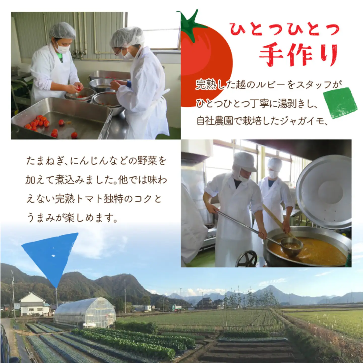 絶品！野菜のコクとうまみ 越のルビー トマト カレー 210g（袋入り）×5袋