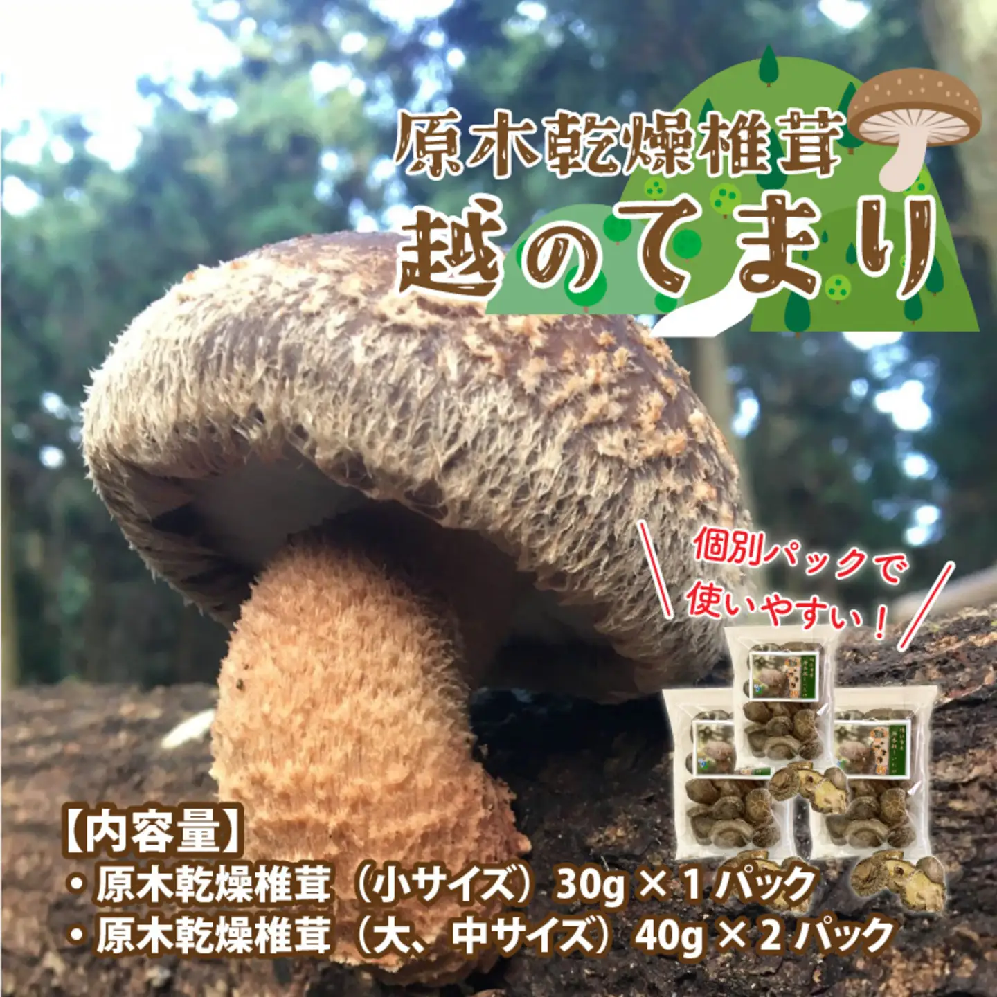 鯖江市産 原木乾燥椎茸「越のてまり」& 越のルビーのトマトカレーセット