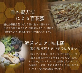 ハチミツ 南紀熊野蜜 1kg（500g×2個） / 古座川流域で採取 南紀熊野蜜D 希少 はちみつ ミツバチ 【tkd203】