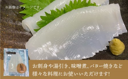 剣先イカ 刺身 （小） 3杯  [JEW002] イカ