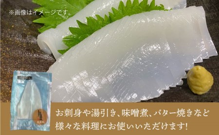 剣先イカ 刺身 （中） 3杯  [JEW003] イカ