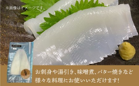 剣先イカ 刺身 （大） 3杯[JEW004] イカ