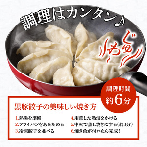 極旨黒豚餃子_極旨黒豚餃子 （23g×20 個）×5 袋 餃子 100個 三桃食品 おべんとうのヒライ 鹿児島県産 黒豚 肉 豚肉 国産 極旨 黒豚餃子 食品 食べ物 おかず おつまみ 水餃子 揚げ餃子 冷凍 簡単調理 カリカリ もっちり 福岡 久留米 お取り寄せ お取り寄せグルメ 送料無料 〔Cx221〕