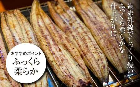 宮崎県産 うなぎ 白焼き 3尾セット K10_0010_3 