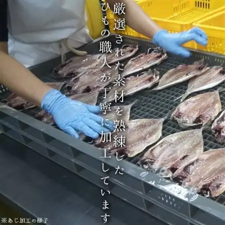 海の直売所アルファ　真空パックで鮮度長持ち!真あじ開き12枚セット_魚介・海産物  干物 _【配送不可地域：離島】【1262719】