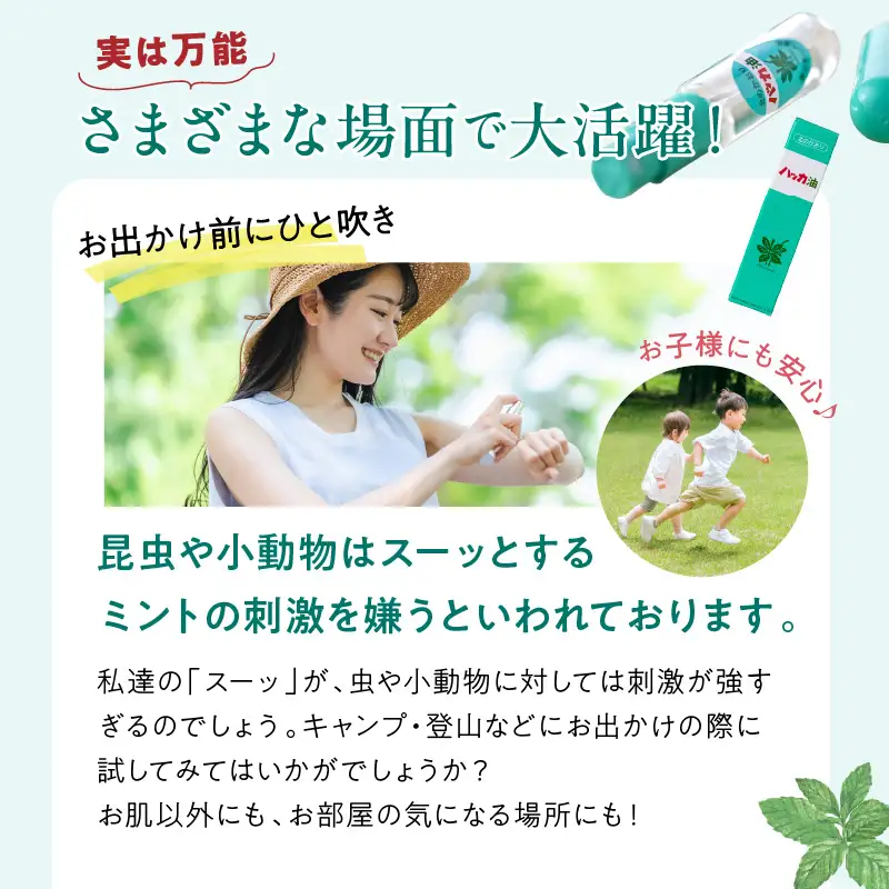 ハッカ油 ボトル 250mlとハッカ油 スプレー 2本 セット ( はっか 薄荷 ミント ハッカ 爽快 )【007-0046】