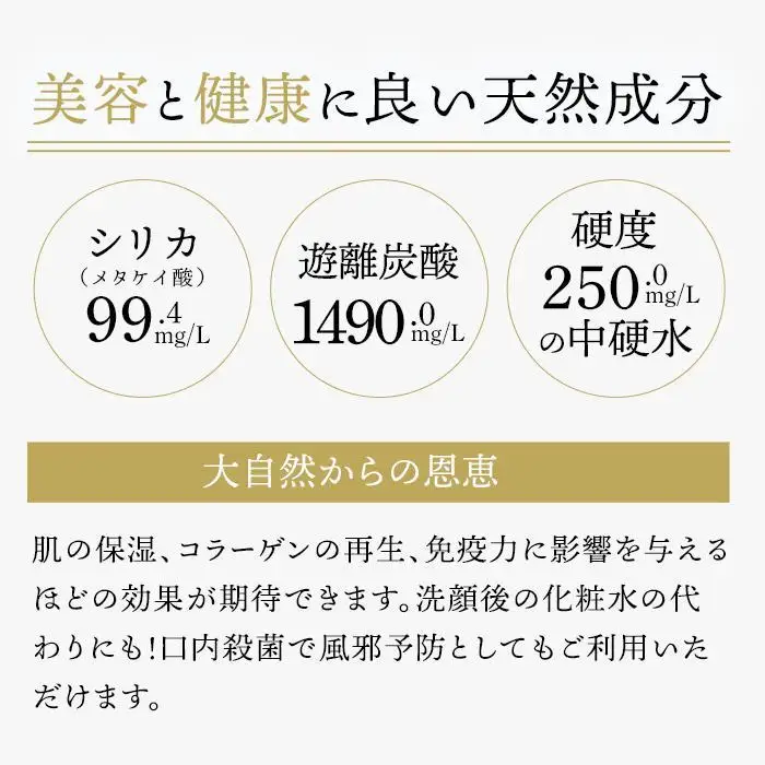 ＜２か月に１度のお届け！全６回 定期便＞天然炭酸水Silica99　500ml×24本