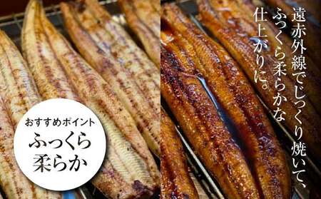 宮崎県産 うなぎ 白焼き 蒲焼き 4尾セット K10_0013_2 