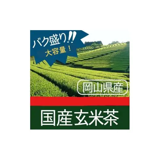 国産玄米茶 (ティーバッグ2g×約100p) ×2袋