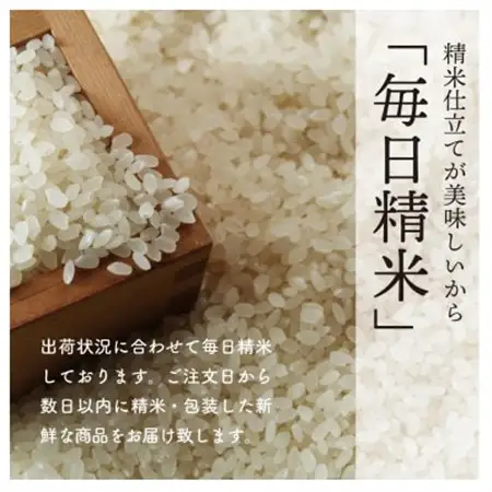 【令和7年産】秋田県特別栽培米ミルキープリンセス無洗米10kg(5kg×2)【配送不可地域：離島・沖縄県】【1319907】