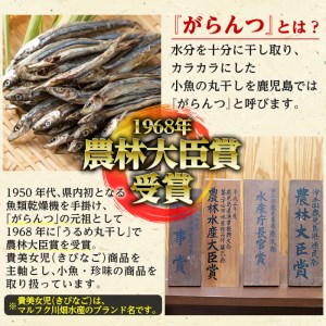 鹿児島県阿久根市産生干し「花いか」(計25尾・5尾×5袋)国産 魚介 干物 ひもの イカ 烏賊 がらんつ干物【マルフク川畑水産】akn029-06