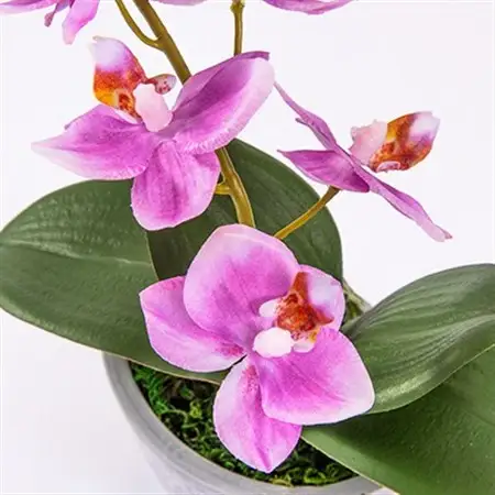 光触媒胡蝶蘭(アーティフィシャルフラワー)1本立て(ピンク)_花・観葉植物 造花・プリザーブドフラワー 花 _【1315295】