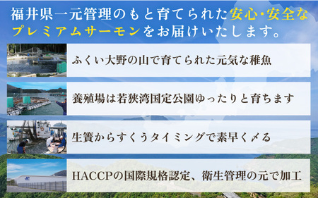 ふくいサーモン 400g (刺身用)　真空冷凍　100g × 4パック 【サーモン 鮭 刺身 さけ サケ さかな 魚 人気 海鮮 海鮮食品 小分け お刺身用 生食用 生食可 低脂肪 低カロリー ヘルシー 冷凍 国産】[A-6232]