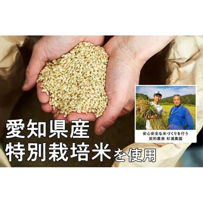 冷凍玄米おにぎり詰め合わせ（10個セット）