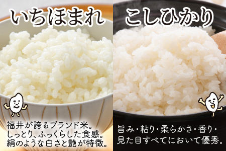 【令和7年産】 福井産無洗米いちほまれ・こしひかり各2kgセット 【 無洗米 人気 品種 ブランド米 特A 】 [A-6118]