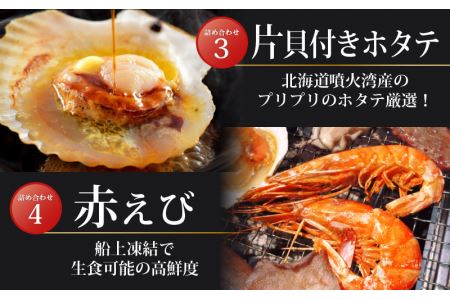 厳選！海鮮BBQ≪A≫セット（6種13品、3～4人用） 牡蠣 イカ ホタテ エビ サザエ  アワビ バーベキュー 冷凍便 お手軽 [e04-a069]