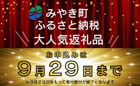 FM032_【最長半年待ちの大人気】佐賀牛入り熟成生ハンバーグ20個＋2個【期間限定】