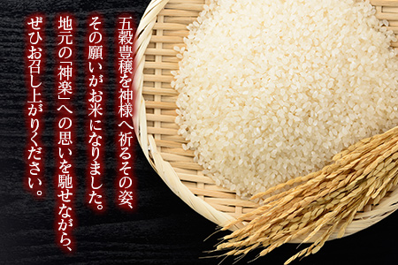 『定期便』豊穣神楽米（コシヒカリ）精米5kg 全6回 JA018_001s6