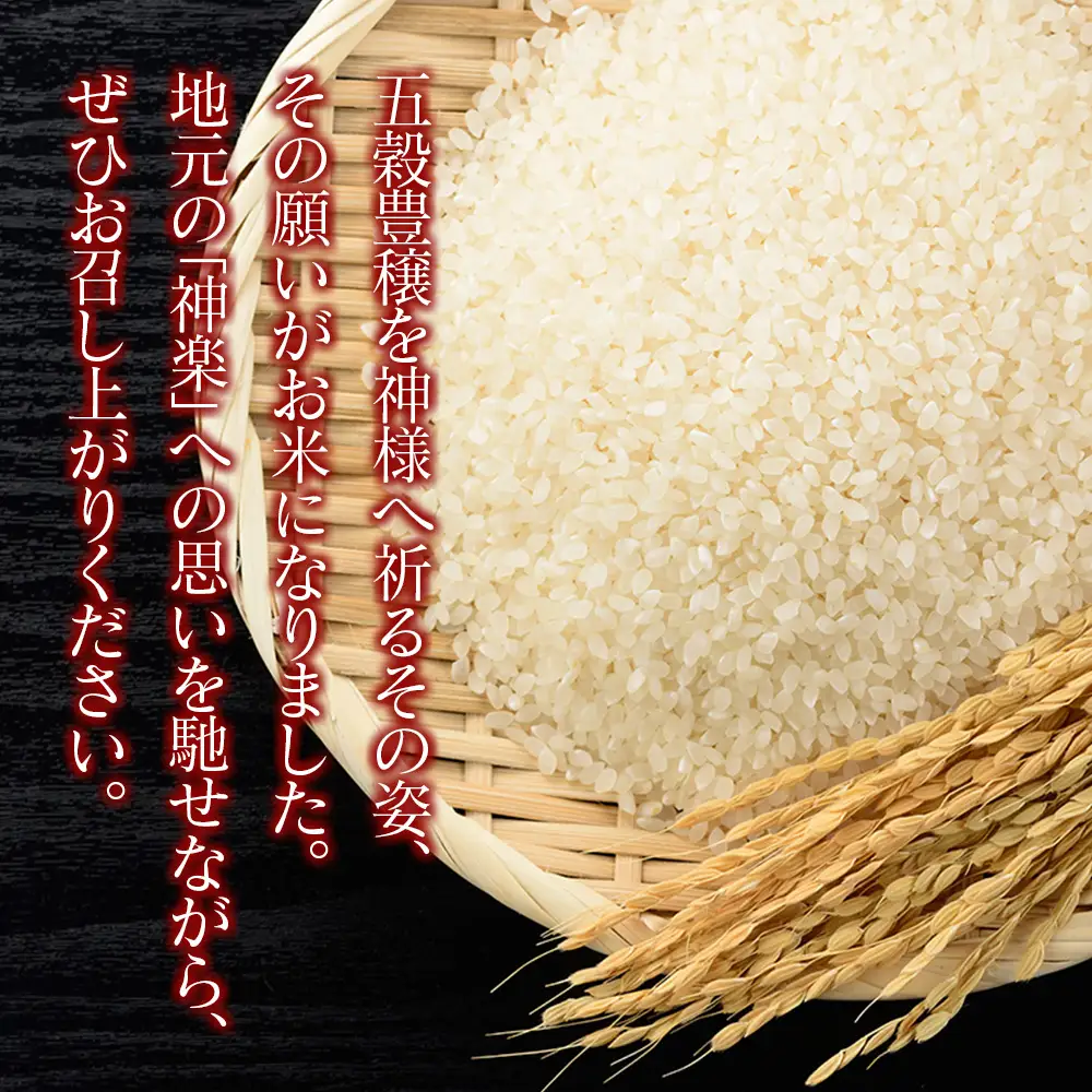 豊穣神楽米（コシヒカリ）精米5kg JA018_001