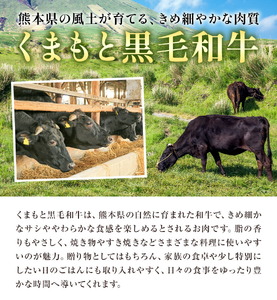 焼肉用 モモ・ウデ 合計800g 黒毛和牛 カット済み 有限会社中田精肉店舗 《45日以内に出荷予定(土日祝除く)》 熊本県 菊池市 お肉 和牛 焼き肉 キャンプ バーベキュー 熊本県産 九州産 国産