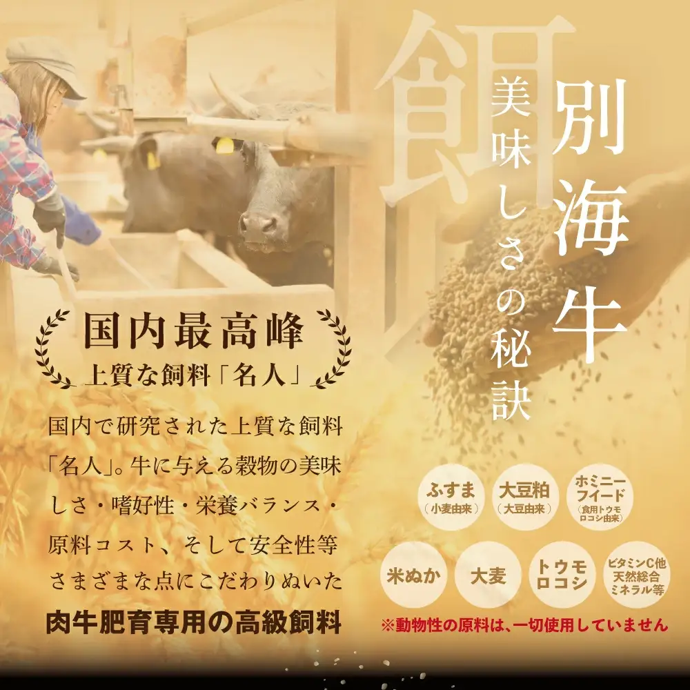 焼肉！黒毛和牛入り 味付け 計1.2kg カルビ400g かみこみ 豚味噌漬け800g 北海道 別海町