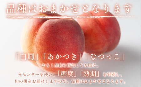 【 2026年 先行予約 】 桃 3kg 秀品 訳あり 《 品種おまかせ「 白鳳 」「 あかつき 」「 なつっこ 」いずれか1品種 》 光センサー選別品 【 予約 果物 くだもの もも フルーツ 長野 信州 クール便 】 沖縄県への配送不可 2026年8月上旬頃から2026年8月中旬頃まで順次発送予定 日時指定不可 令和8年度出荷分 長野県 飯綱町 [1441]
