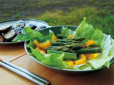 スノーピーク テーブルウェアーセット L ファミリー TW-021F キャンプ アウトドア 防災グッズ