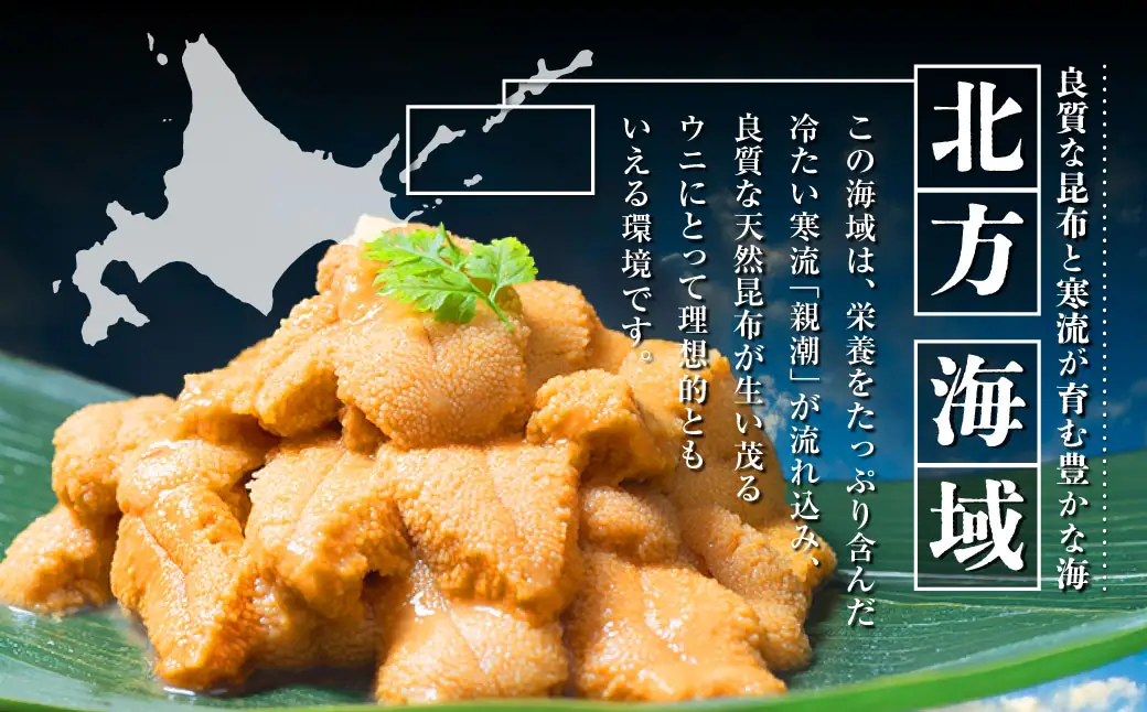 【特選】塩水ウニ 80g（エゾバフンウニ） 【6月中旬(予定)～9月発送不可】 うに 雲丹 ミョウバン不使用 海鮮丼 寿司 冷蔵