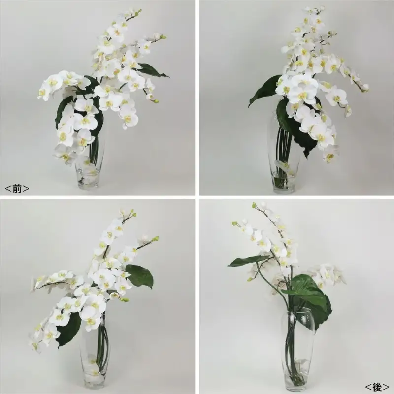 アートフラワー エミリオ・ロバ ファレノプシスXL TTNTA-53600