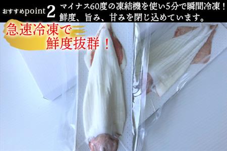 『先行予約』呼子のいか活造り(160g前後×2) 小サイズ コリコリ甘い鮮度抜群の透明感! 刺身 ギフト 冷凍※水揚げあり次第5月以降順次発送させていただきます。