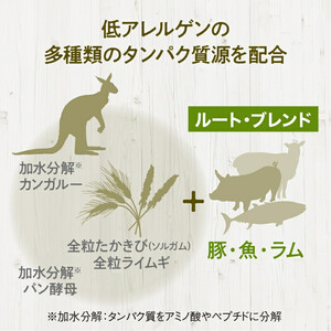 ドライドッグフード ルート・ブレンド 小粒 800g ドッグフード