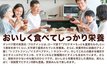 鶏肉 若鶏 むね肉 約2kg×2袋(1袋あたり約300g×7枚前後)  肉 ヘルシー タンパク質 たっぷり大満足！計4kg！《30日以内に出荷予定(土日祝除く)》