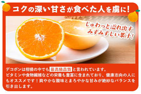 デコポンゼリー 12個入《60日以内に出荷予定(土日祝除く)》