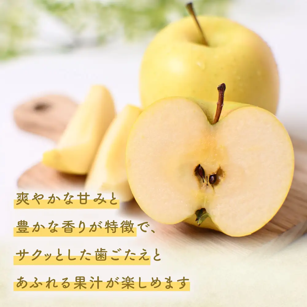 青森県産りんご トキ 約5kg りんご 9月下旬～