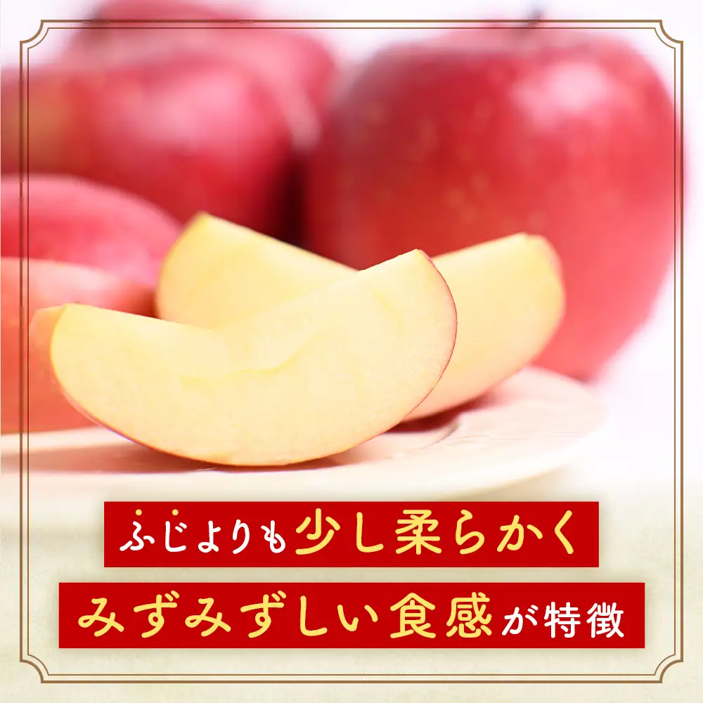 青森県産りんご 早生ふじ 約5kg りんご 9月下旬～