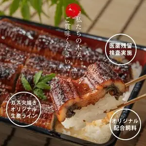 愛知県三河一色産　うなぎ蒲焼き　大サイズ2尾(合計330g以上)・U023-13
