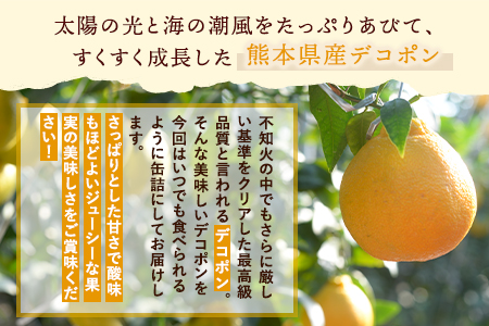 デコポン缶詰 10缶 果物 フルーツ 柑橘 缶詰 デコポン