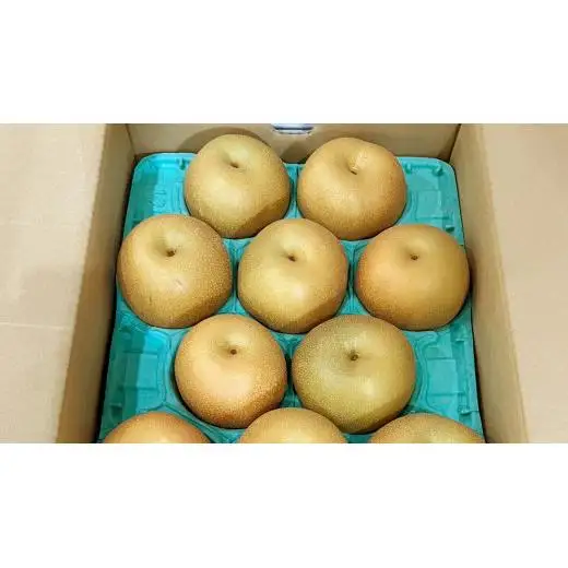【 2026年8月下旬発送開始 】 茨城県産 梨 豊水 （約 5kg ） 10～14玉