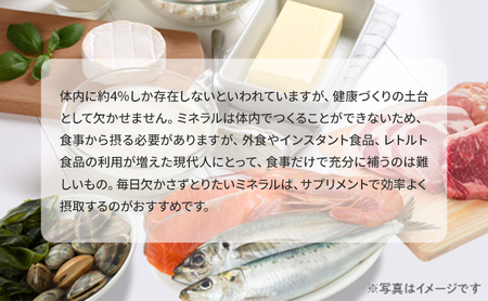 サプリ DHC マルチミネラル 30日分 6個 セット 