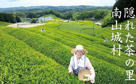 【宇治抹茶スイーツ】抹茶の味がしっかりと味わえる　むらちゃアイス抹茶3個ほうじ茶3個セット お茶 夏 おやつ デザート 食後 ひんやり 