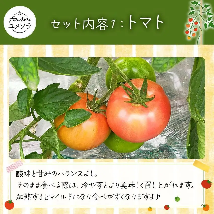 ◆2026年7月から順次出荷◆ farmユメソラ 大玉トマト＆玉ねぎセット 約5kg [famy-003]