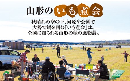 「山形のいも煮（醤油味・山形牛使用）2袋入」と「山形のいも煮（味噌味・山形県庄内産豚肉使用）2袋入」の山形のいも煮食べ比べセット F2Y-3069